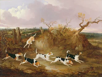 Beagles en plena caza, 1845